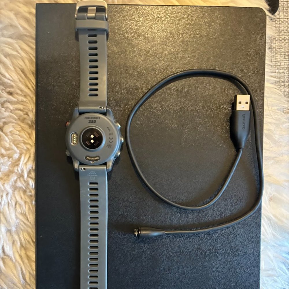 Garmin Forerunner 255 46mm No Music